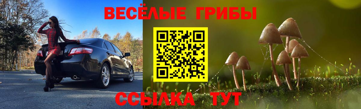 Галлюциногенные грибы Psilocybe Аксай